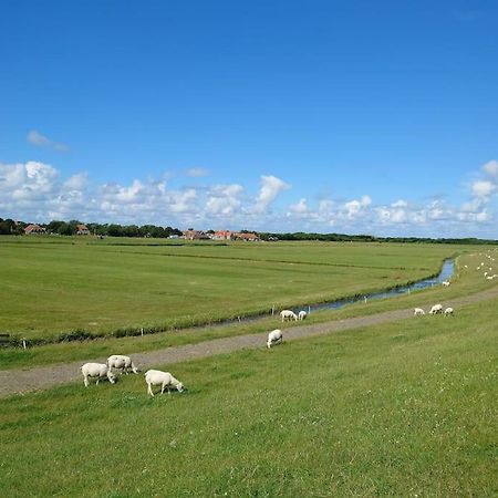 De Oostkamer; Eiland Appartement Naast Natuurgebied Boschplaat Oosterend  Екстериор снимка
