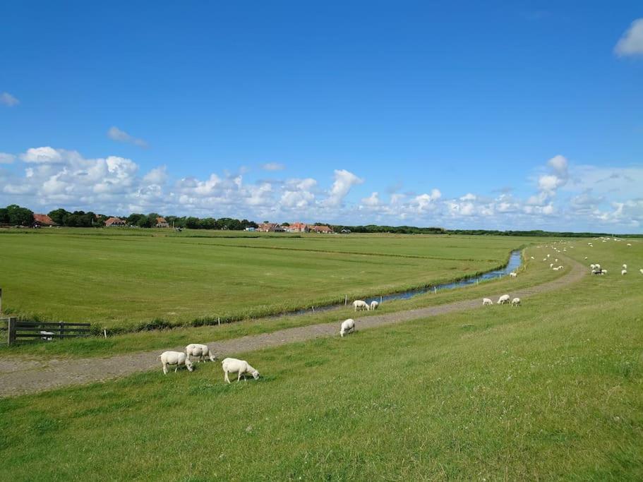 De Oostkamer; Eiland Appartement Naast Natuurgebied Boschplaat Oosterend  Екстериор снимка