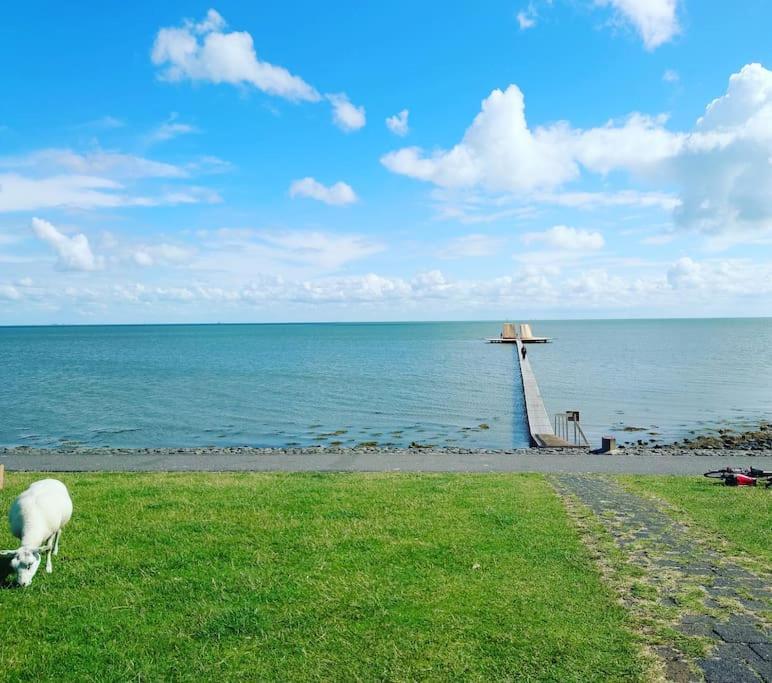 De Oostkamer; Eiland Appartement Naast Natuurgebied Boschplaat Oosterend  Екстериор снимка